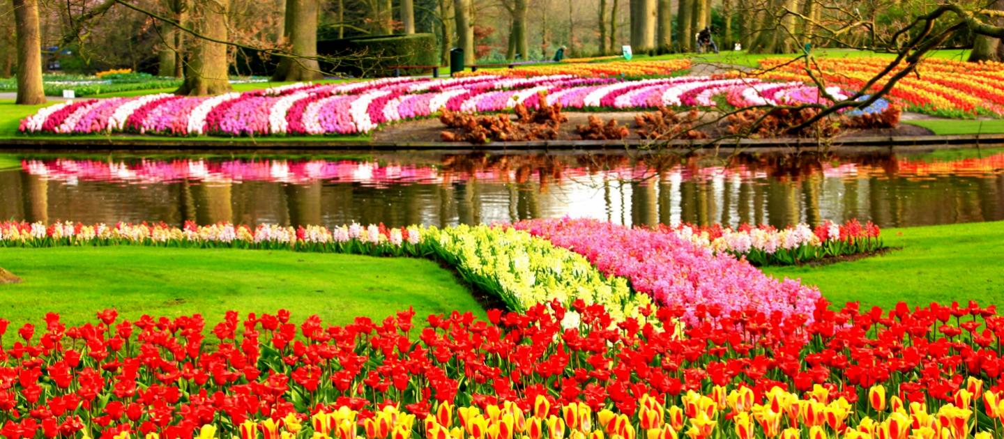 Keukenhof Engels